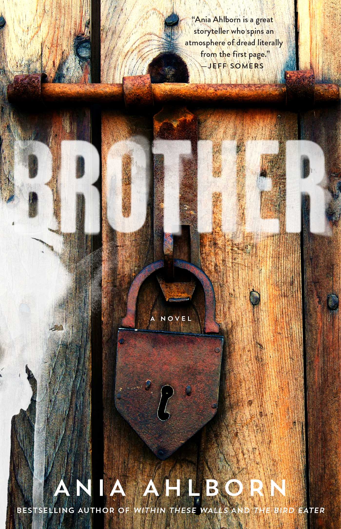 Brother by Ania Ahlborn